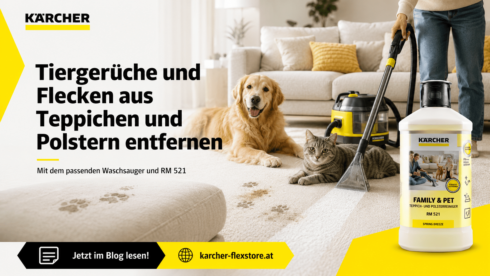 Tiergerüche und Flecken aus Teppichen und Polstern entfernen - Flexclean GmbH - Abteilung Karcher Flexstore
