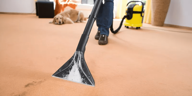 Waschsauger - Karcher Flexstore