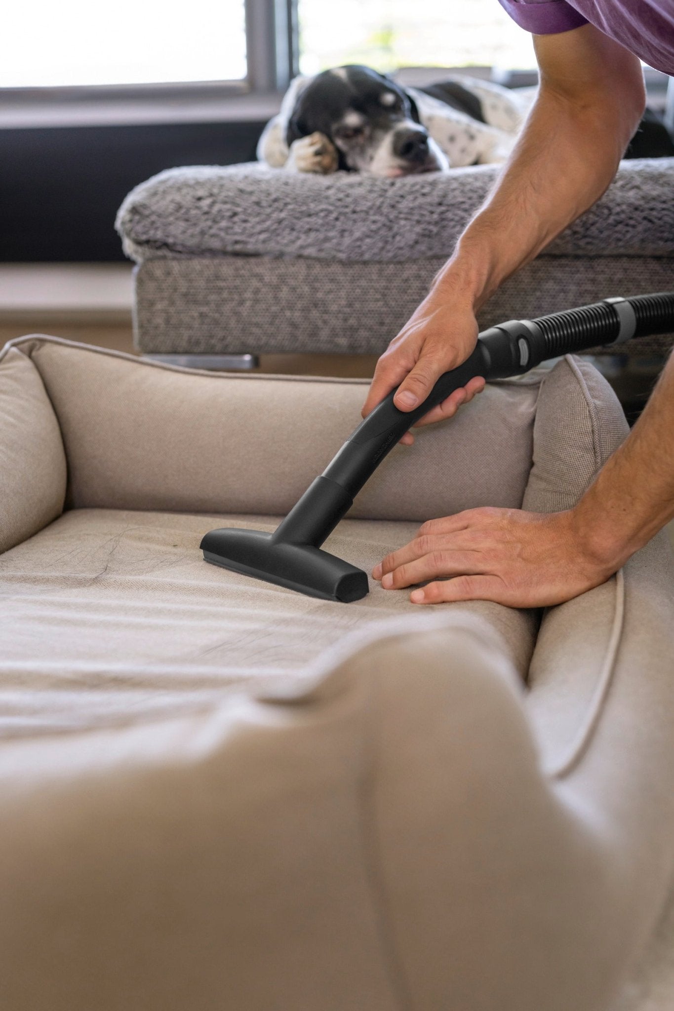 Polsterdüse für Tierhaare - Flexclean GmbH - Abteilung Karcher Flexstore