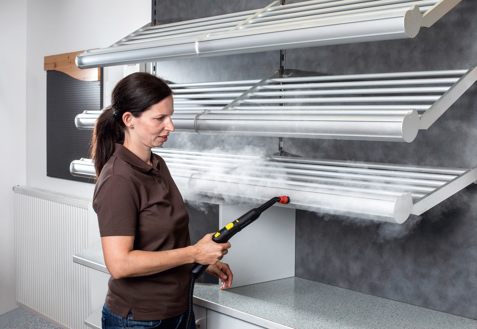 Dampfreiniger SG 4/4 - Flexclean GmbH - Abteilung Karcher Flexstore
